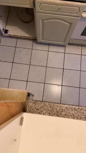 magicman5  09-11-2021 video fingerin